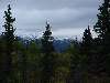 DSC00334.JPG (800x600) 69.78KB down the Cassiar Highway