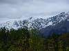 DSC00339.JPG (800x600) 80.22KB down the Cassiar Highway