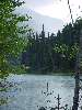 DSC00377.JPG (600x800) 108.17KB along Duffey Lake Rd