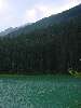DSC00378.JPG (600x800) 69.79KB along Duffey Lake Rd
