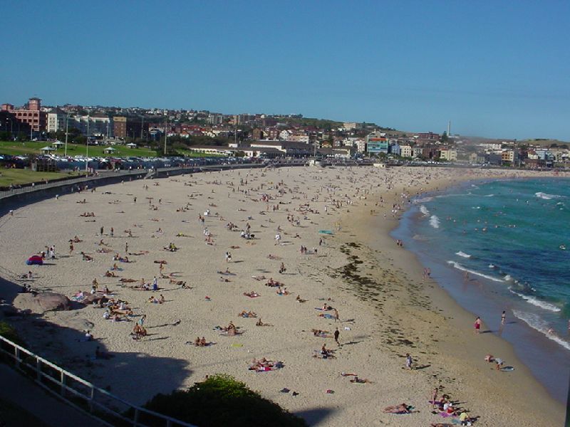 03-BondiBeach.JPG (800x600) 84.84KB Bondi Beach