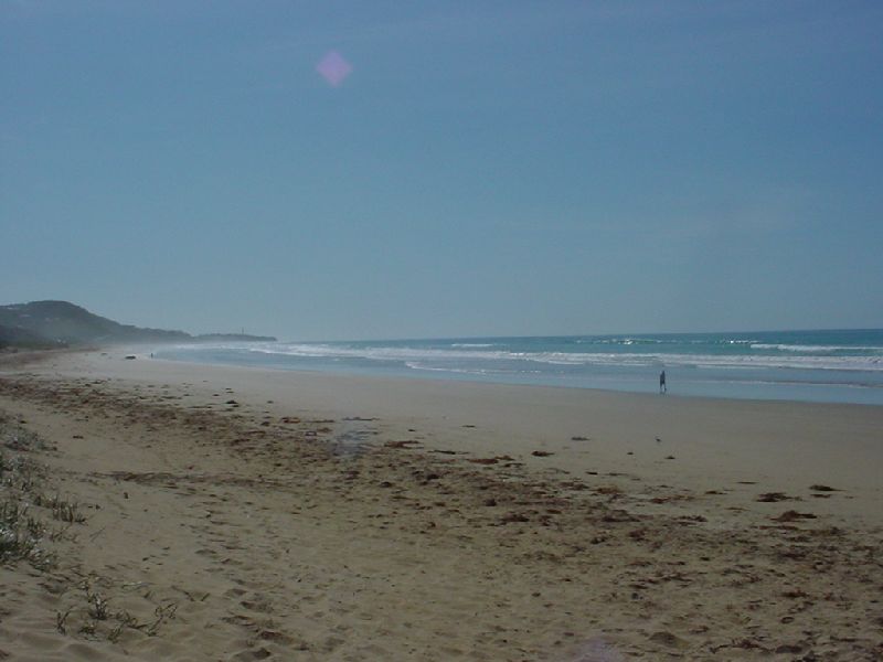 31-GreatOceanRoadBeach.JPG (800x600) 45.91KB Great Ocean Road Beach