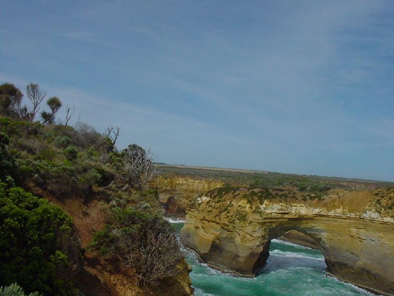 36-GreatOceanRoadArches.JPG (800x600) 61.95KB Great Ocean Road Arches