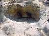 09-Hoppers.JPG (800x600) 111.28KB Hoppers