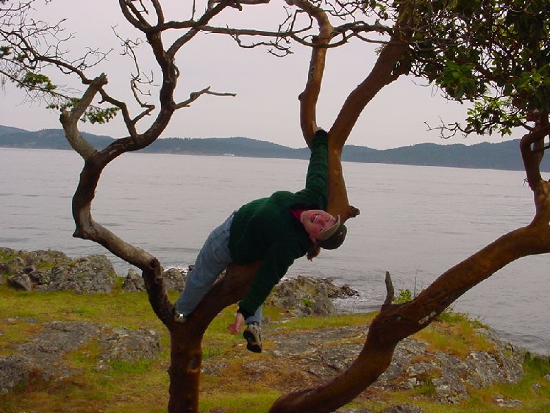 08_GillianInTree.JPG (800x600) 98.68KB Gillian In Tree