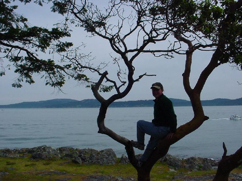 DSC00048.JPG (800x600) 104.59KB up a tree