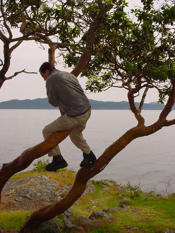 DSC00054.JPG (600x800) 120.73KB Jason doing the monkey swing