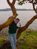 DSC00050.JPG (600x800) 85.64KB tree climbin