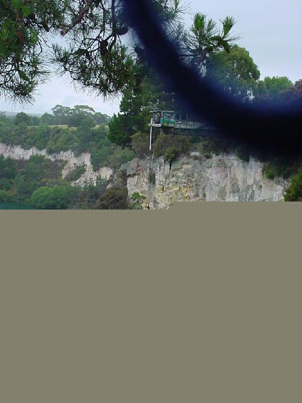 06-RotoruaDoingBungy.JPG (600x800) 113.14KB 6 - Rotorua Doing Bungy