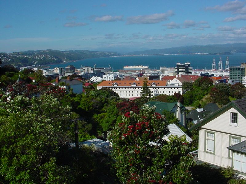 18-WellingtonSkyline.JPG (800x600) 104.60KB 18 - Wellington Skyline