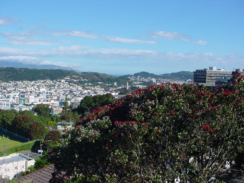 21-WellingtonSkyline.JPG (800x600) 115.80KB 21 - Wellington Skyline
