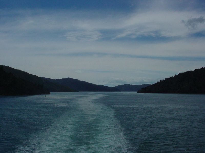 37-LookingBackFromFerryToTheSouthIsland.JPG (800x600) 44.49KB 37 - Looking Back From Ferry To The South Island