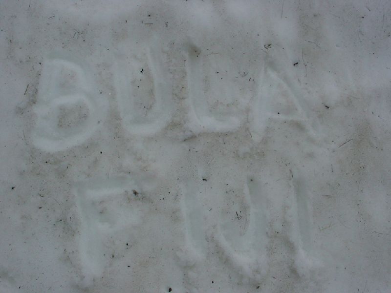 49-BulaFijiInSnow.JPG (800x600) 43.28KB 49 - Bula Fiji In Snow