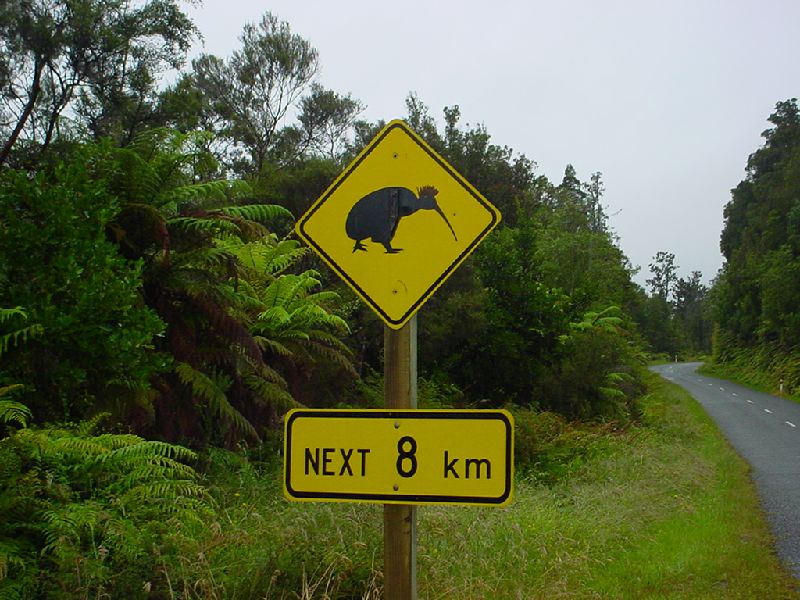 56-WestCoastKiwiSign.JPG (800x600) 105.65KB 56 - West Coast Kiwi Sign