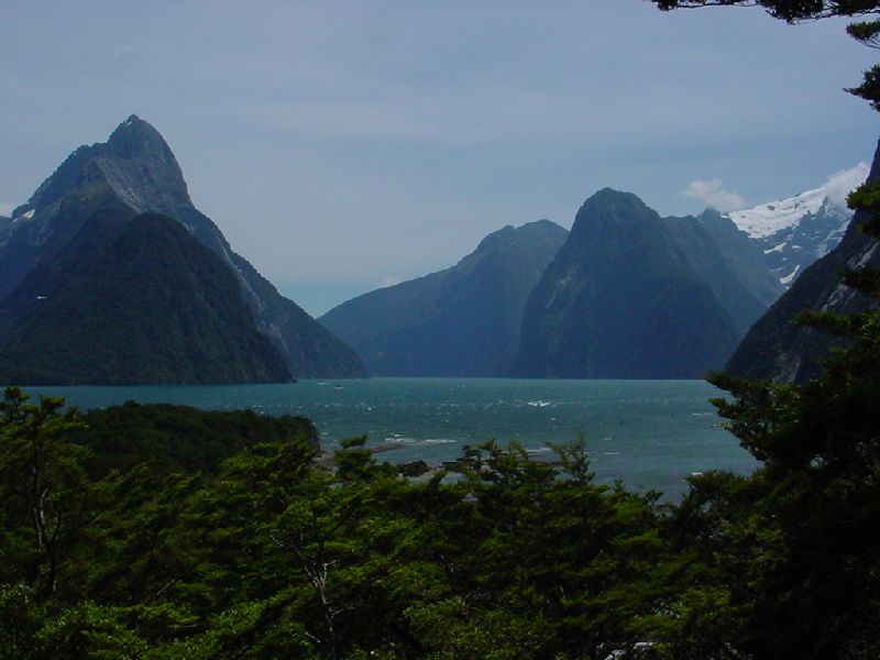 80-MilfordSound.JPG (800x600) 55.80KB 80 - Milford Sound