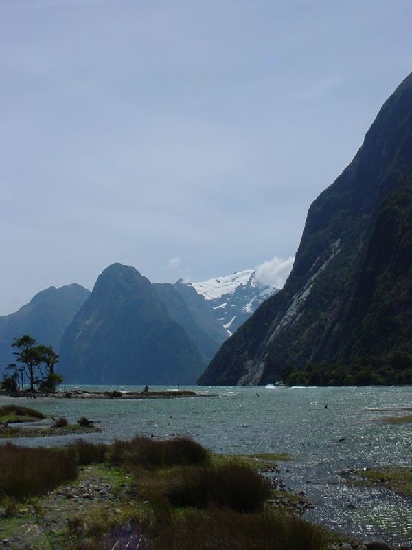 82-MilfordSound.JPG (600x800) 53.73KB 82 - Milford Sound