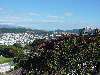 21-WellingtonSkyline.JPG (800x600) 115.80KB 21 - Wellington Skyline