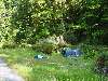 65-RiversideCampsite.JPG (800x600) 152.53KB 65 - Riverside Campsite