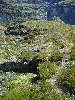 74-KeaBasinCampsite.JPG (600x800) 170.99KB 74 - Kea Basin Campsite