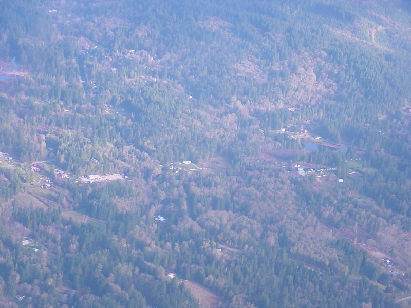16-ForestDottedWithHouses.JPG (800x600) 80.54KB Forest dotted with houses