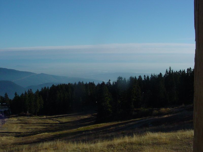 31-It'sNovemberAndThere's.JPG (800x600) 45.07KB It's November and there's no snow at Semour Mountain