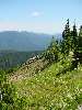 027.JPG (480x640) 81.96KB View from Manning Park