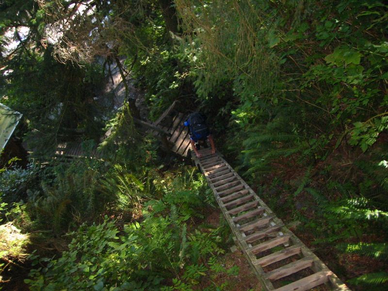 016_GoingDownLaddersTo.JPG (800x600) 115.24KB Going down ladders to the campsite at Thrasher. Down was much easier than up.
