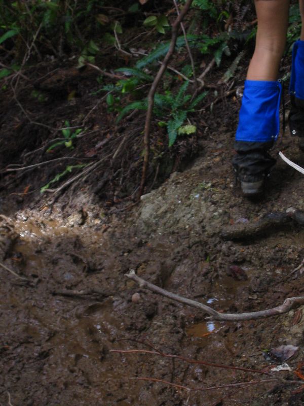 030_Tova'sCleanFeetHovering.JPG (600x800) 83.66KB Tova's clean feet hovering above the mud (somehow Tova kept even her gaters clean!)