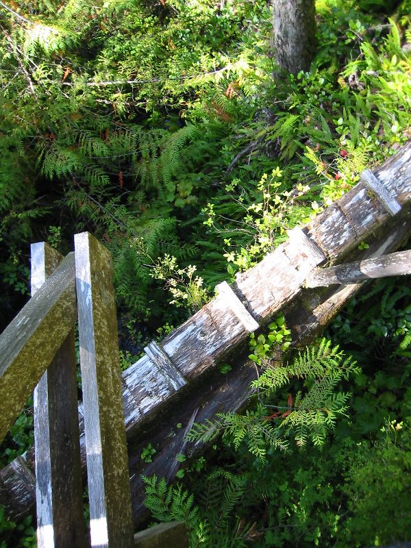 033_TheOldWayOf.JPG (600x800) 169.04KB The old way of crossing over the ravine - hope you had good balance!
