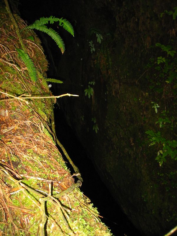044_AViewIntoThe.JPG (600x800) 110.55KB A view into the abyss