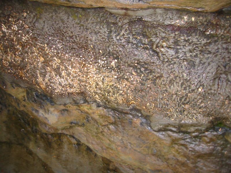 047_CoolRockFormations.JPG (800x600) 121.93KB cool rock formations.