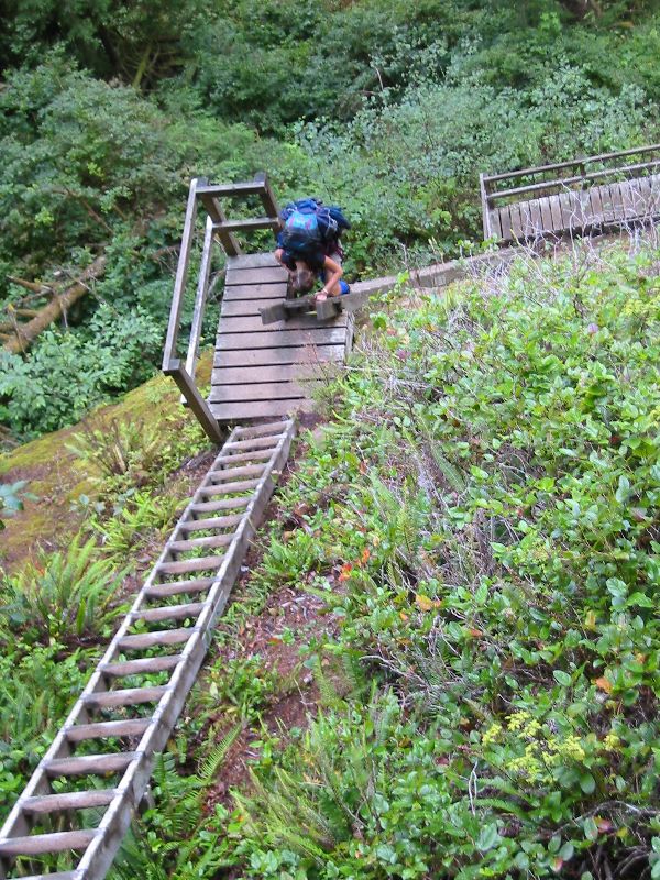 063_TovaFlyingOnThe.JPG (600x800) 175.79KB Tova flying on the ladders