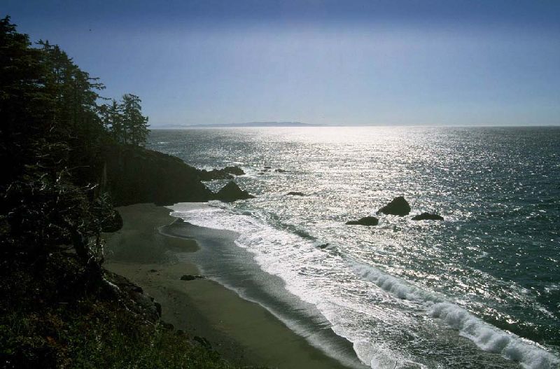 069_LookingSouthAlongThe.jpg (800x527) 87.96KB Looking south along the coast