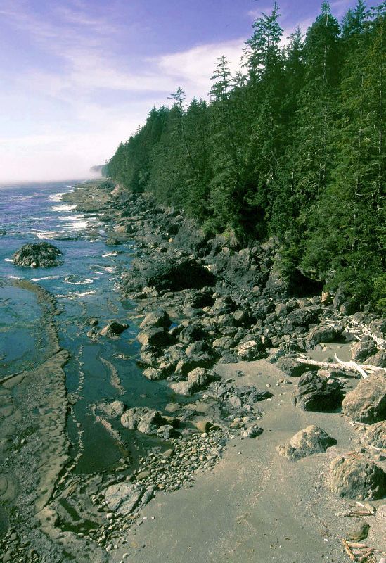 070_LookingNorthAlongThe.jpg (549x800) 130.69KB Looking north along the coast
