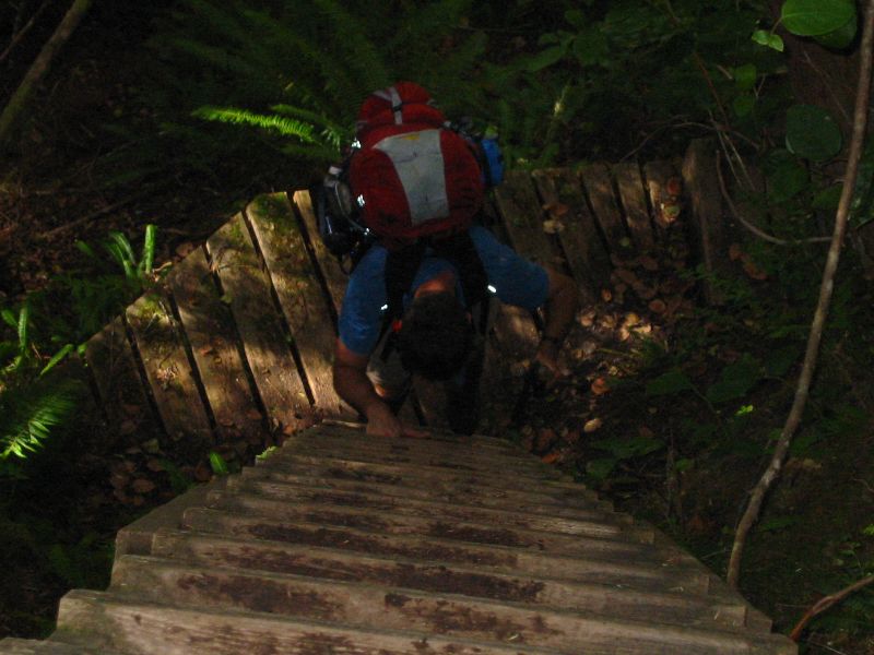 071_RogierOnALadder.JPG (800x600) 72.33KB Rogier on a ladder