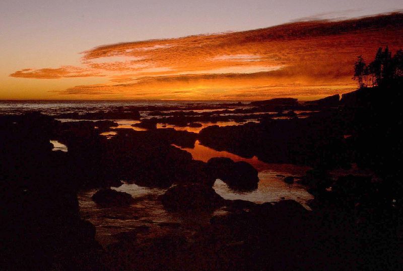 169_IncredibleColours.jpg (800x539) 61.32KB Incredible colours