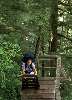 011_GillLovingTheLadders.jpg (578x800) 104.23KB Gill loving the ladders