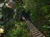 016_GoingDownLaddersTo.JPG (800x600) 115.24KB Going down ladders to the campsite at Thrasher. Down was much easier than up.