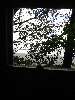 026_TheViewFromThe.JPG (600x800) 107.17KB The view from the composting toilet at Trasher