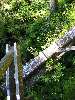 033_TheOldWayOf.JPG (600x800) 169.04KB The old way of crossing over the ravine - hope you had good balance!