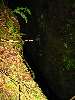 044_AViewIntoThe.JPG (600x800) 110.55KB A view into the abyss