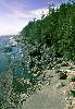 070_LookingNorthAlongThe.jpg (549x800) 130.69KB Looking north along the coast