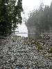 103_TheEntranceOfWalbran.JPG (600x800) 146.45KB The entrance of Walbran Creek to the ocean