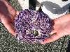 121_AMassiveSomethingOr.JPG (800x600) 138.98KB A massive something or another. 1 of 2
