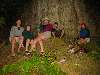 139_SmilesAllAroundFor.JPG (800x600) 97.82KB Smiles all around for finding this gem in a forest.