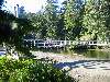 142_CheewhatRiverCrossing.JPG (800x600) 170.85KB Cheewhat river crossing