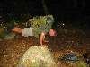 IMG_1179.JPG (800x600) 87.82KB 
