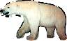 bearo.jpg